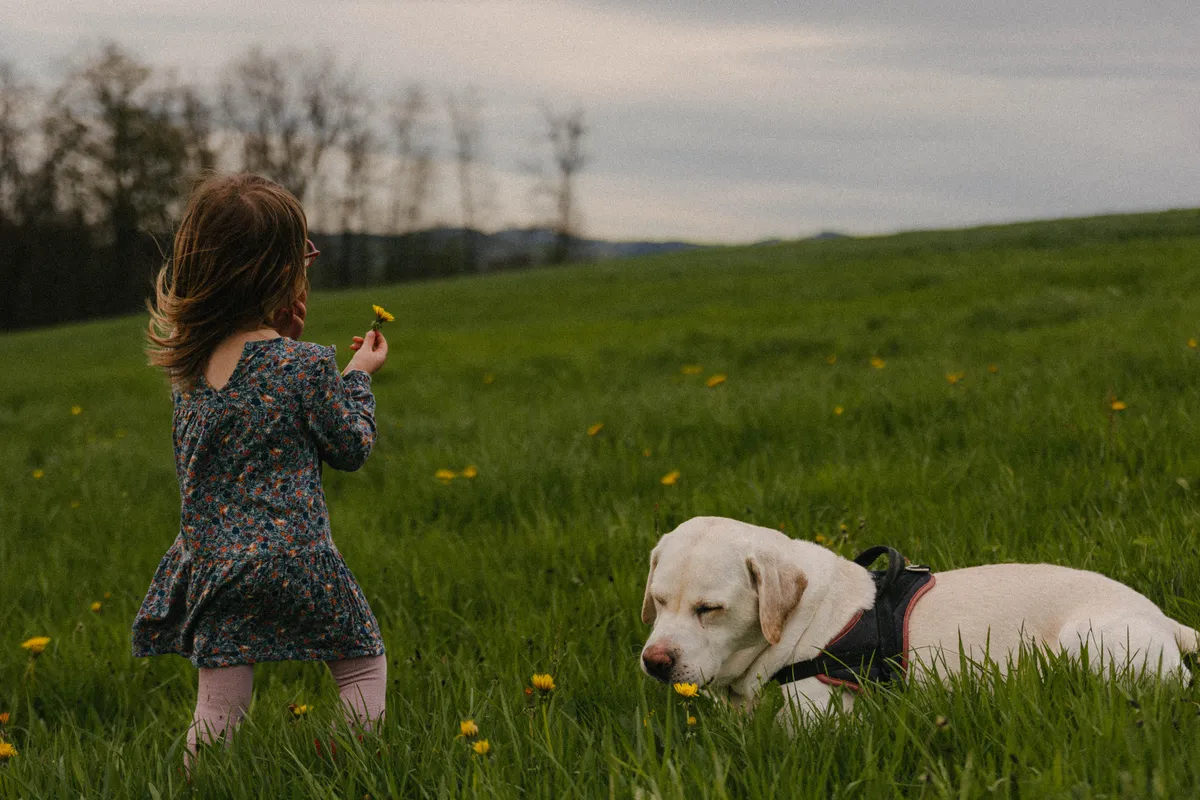 enfant-chien